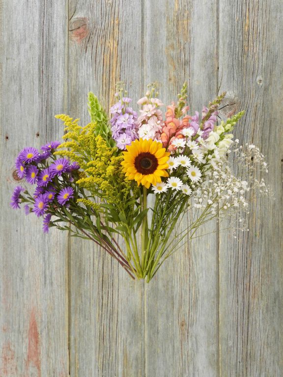 ECUADOR GROWN ASSORTED FLOWERS COMBO BOX GB3